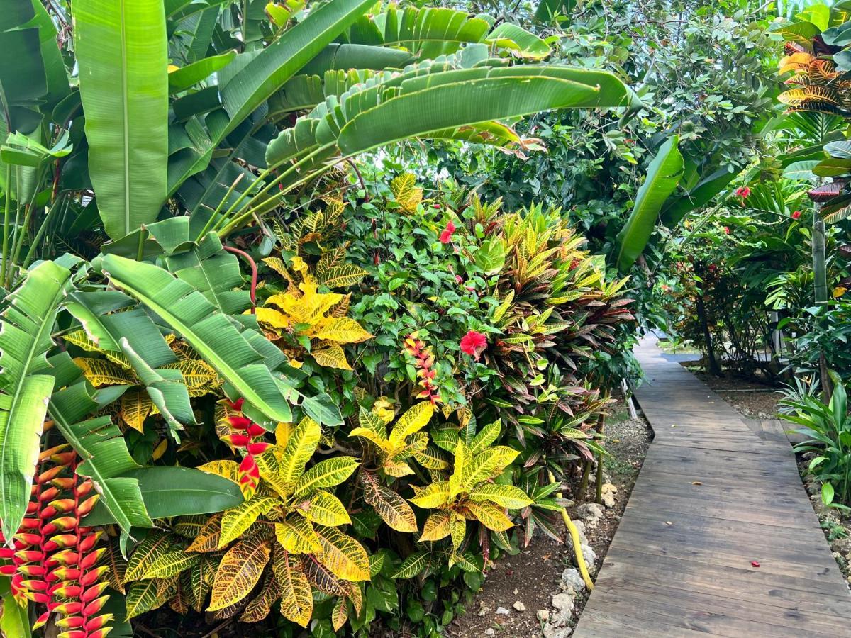 Jamaica Colors Hotel And Eco-Retreat Port Antonio Exterior foto