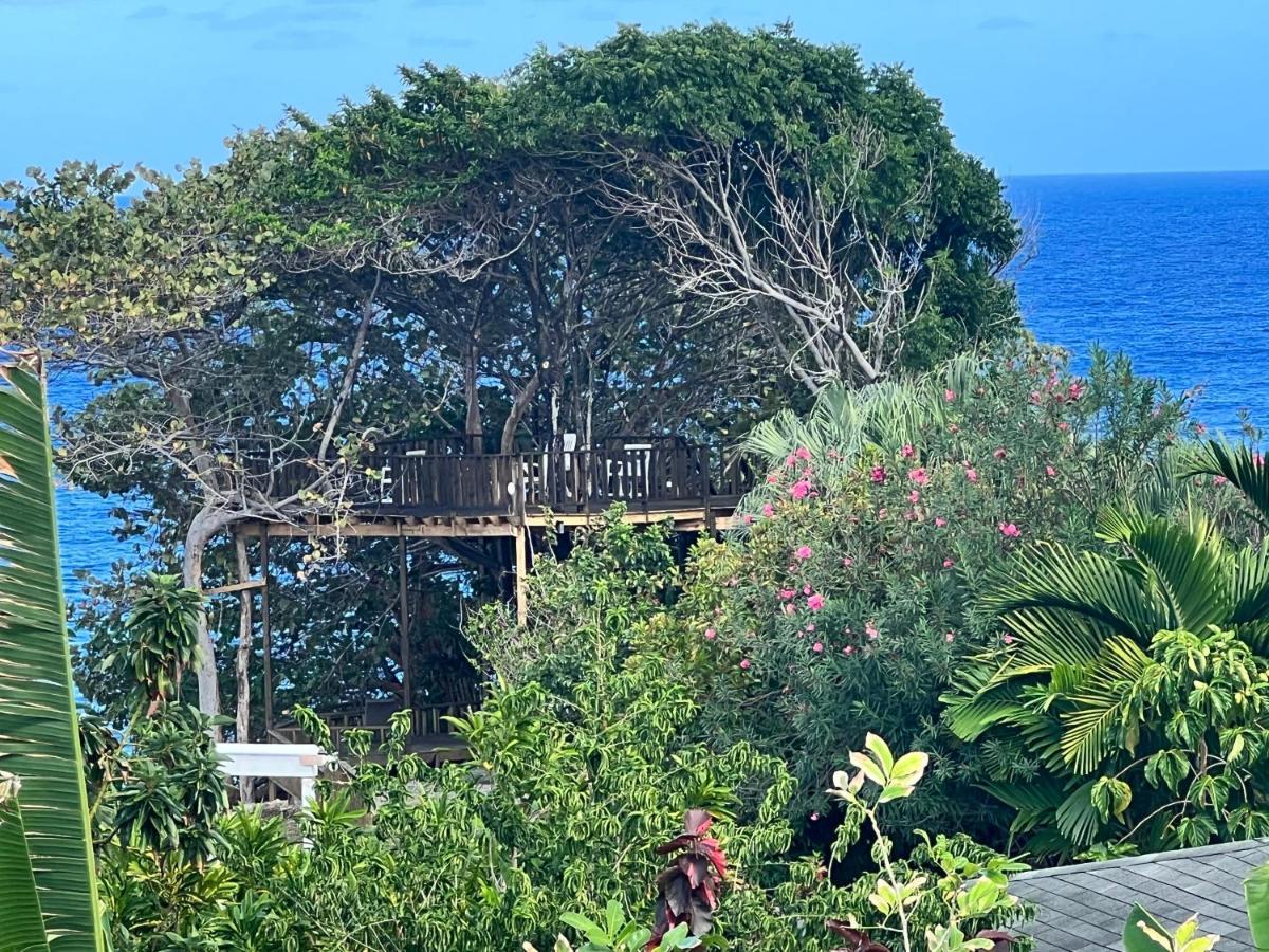 Jamaica Colors Hotel And Eco-Retreat Port Antonio Exterior foto