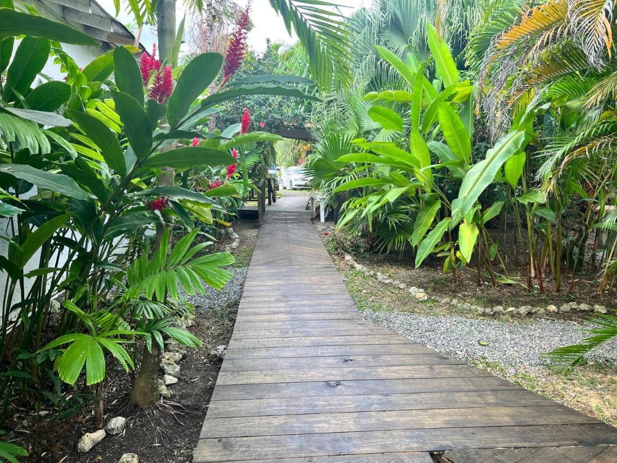 Jamaica Colors Hotel And Eco-Retreat Port Antonio Exterior foto