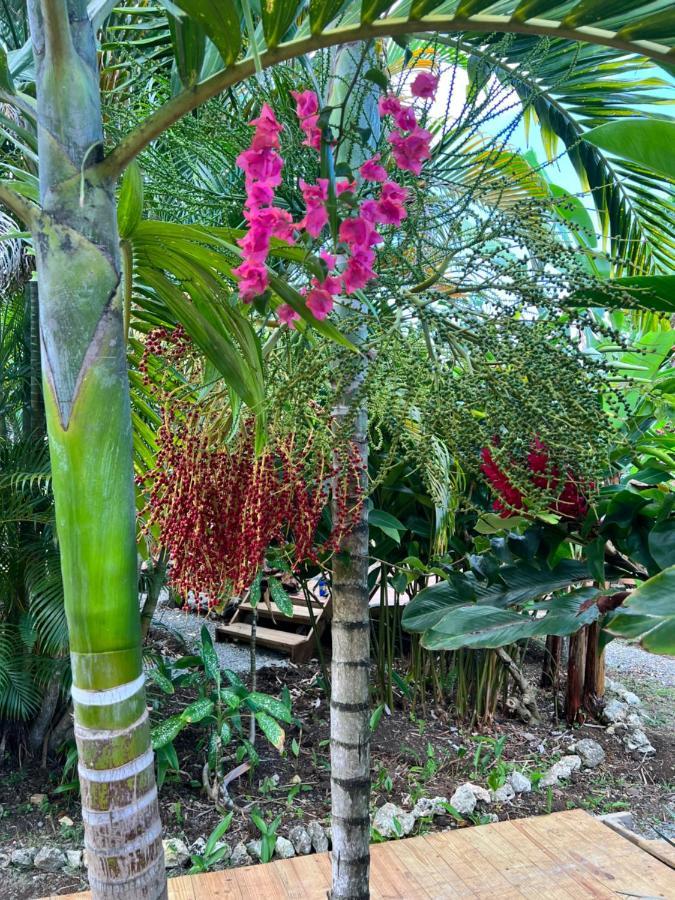 Jamaica Colors Hotel And Eco-Retreat Port Antonio Exterior foto