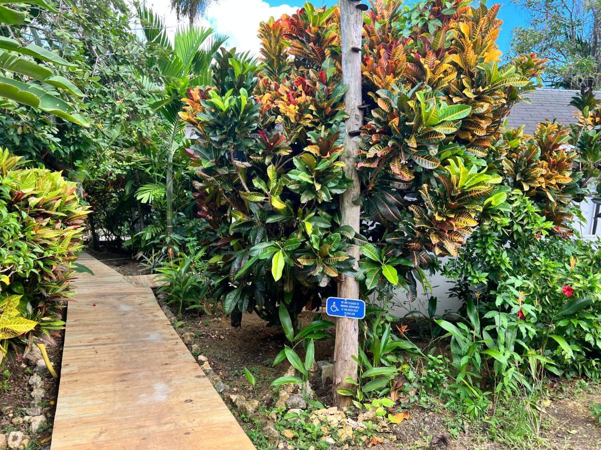 Jamaica Colors Hotel And Eco-Retreat Port Antonio Exterior foto